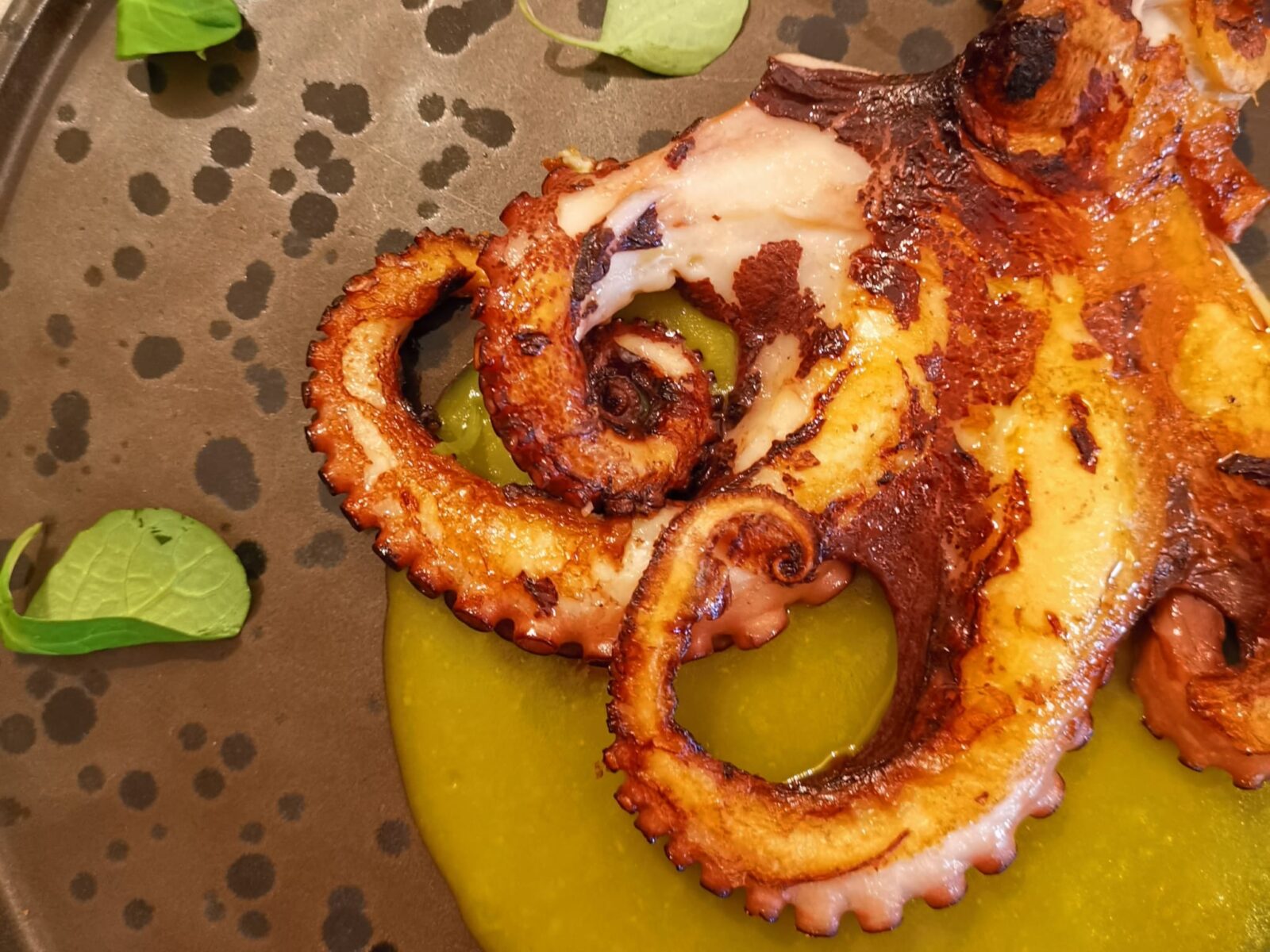 Polpo_consigli_mangiare tipico