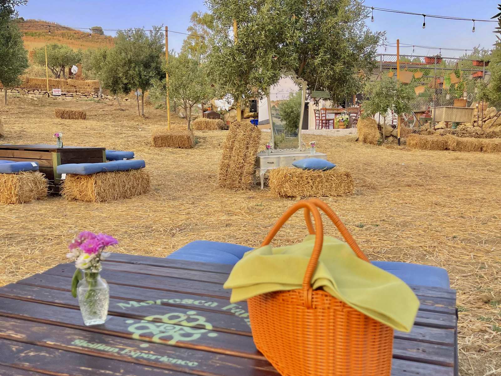 Moresca_Farm_experience_6