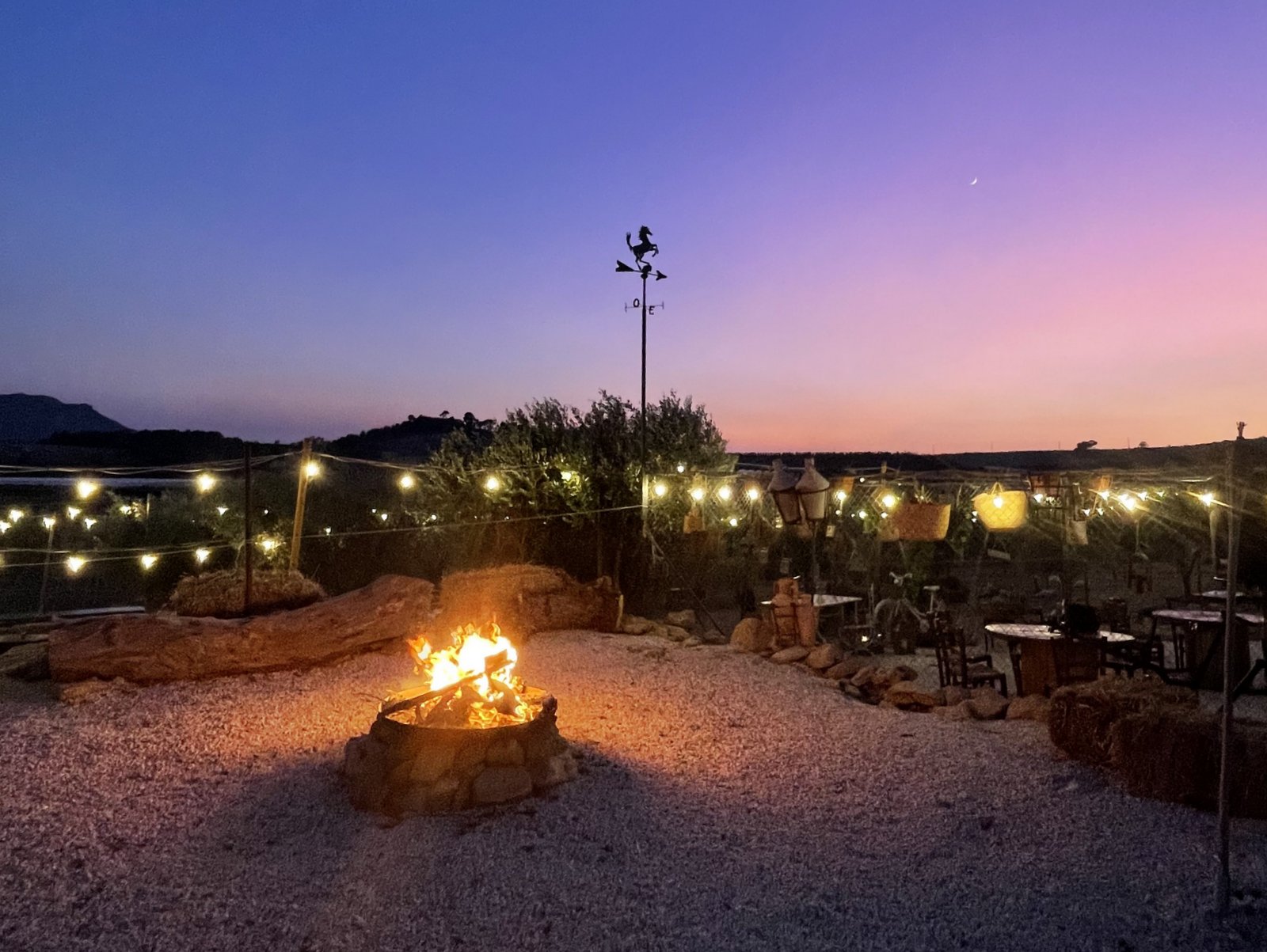 Moresca_Farm_experience_9